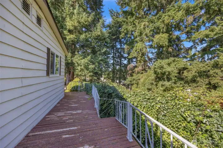 Deck Area