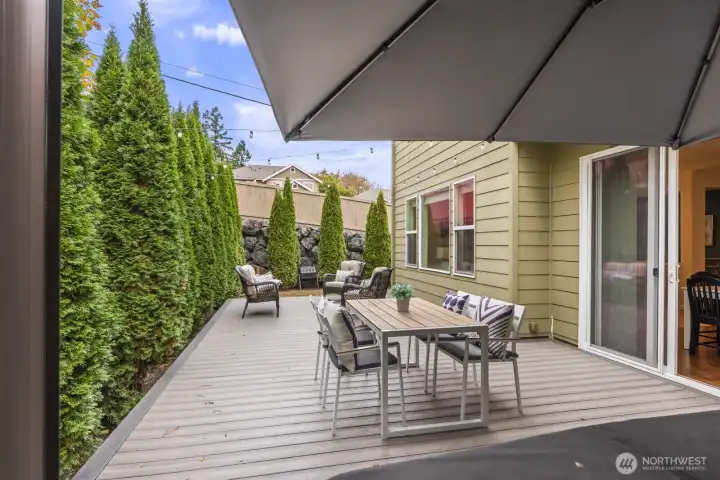 Newer huge low maintenance Trex deck