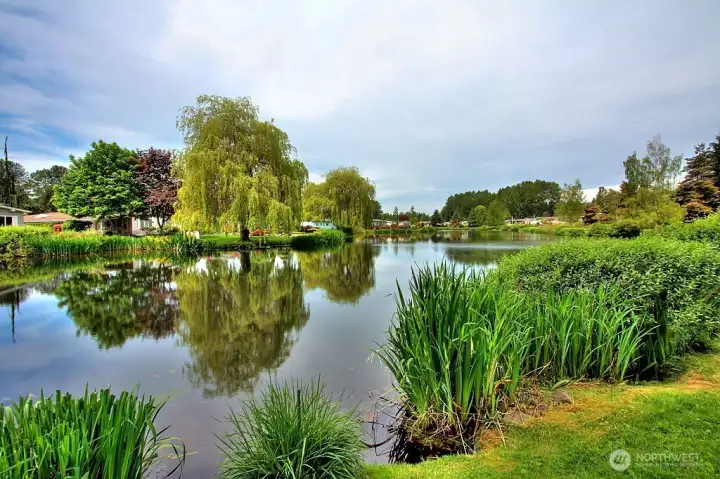 Wandering Creek Common Area: Reflection Lake with a paved trail around the lake and a gazebo.