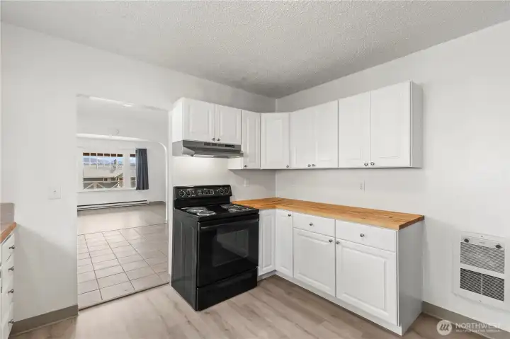 Remodeled Kitchen with large layout