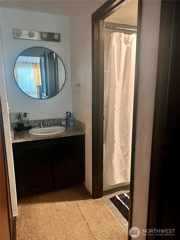 Main Bathroom detached sink