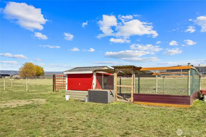 Absolutely adorable chicken coop and if you don't have your own, all of the Barred Rock Hens can stay!