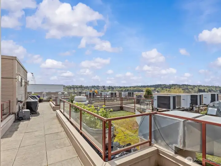 We can't forget about the rooftop!