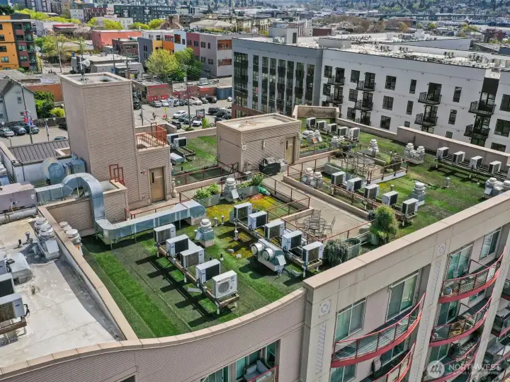 Relax in the sun, take in the views or smell the flowers.