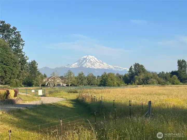Stunning Mt. Rainier views!