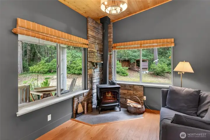 Imagine Cuddling by the Wood Stove!