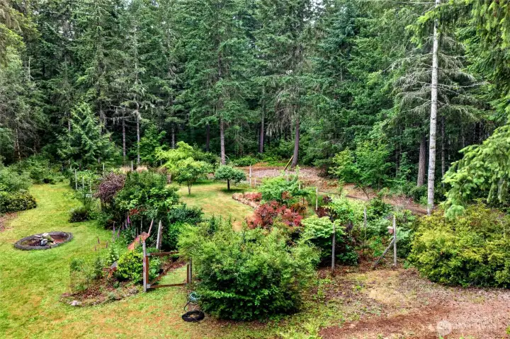 Abundance of Native Vegetation