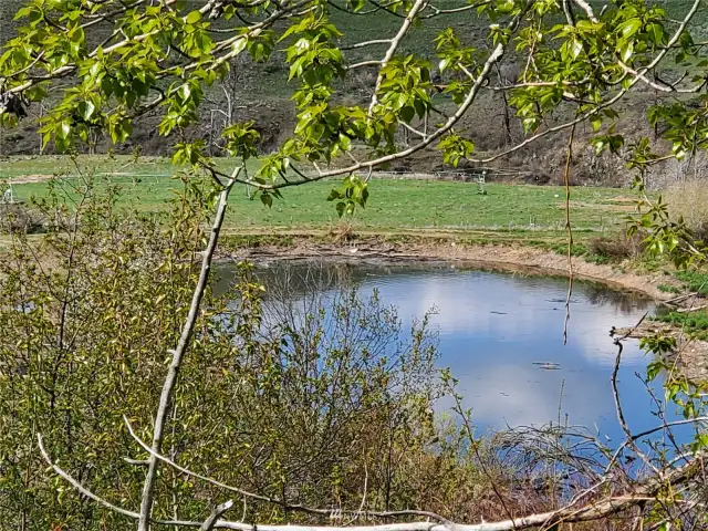 One of (3) Three Ponds on property.