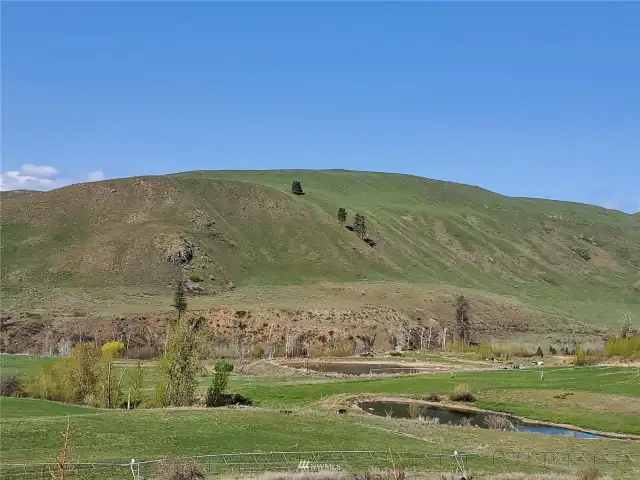 Hillside view from Ponds and Ag land on this acreage.