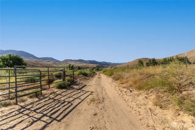 Dirt farm road leads to alfalfa fields.