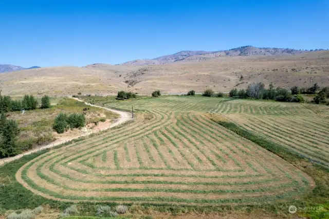 Alfalfa crop Agriculture use of approximately 20 Acres throughout growing season each year.