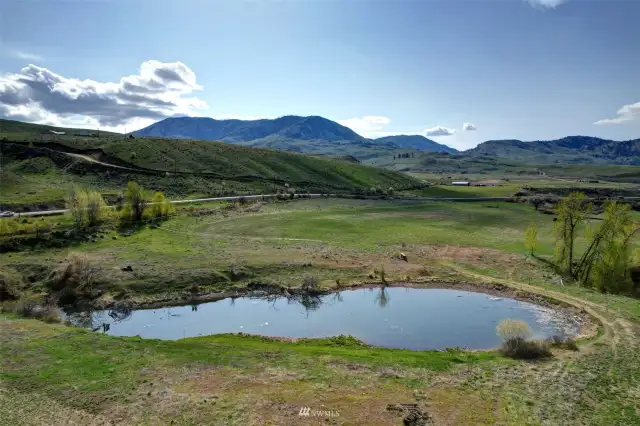 Looking South East from Pond area off of Upper Beaver Creek Road.