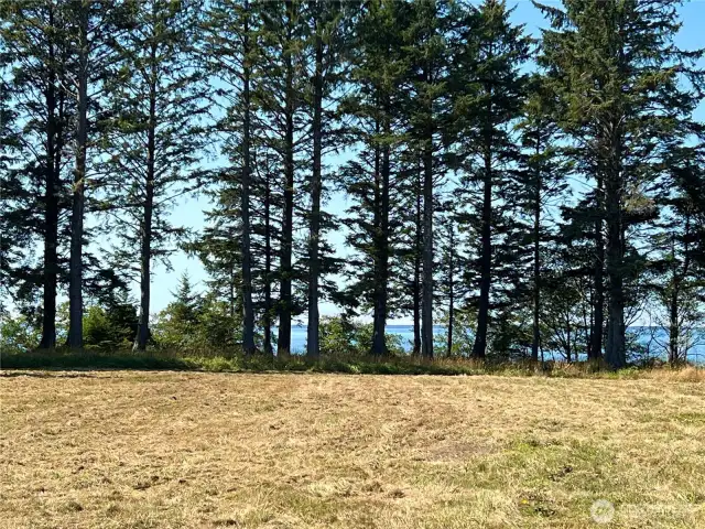 Southwest facing
