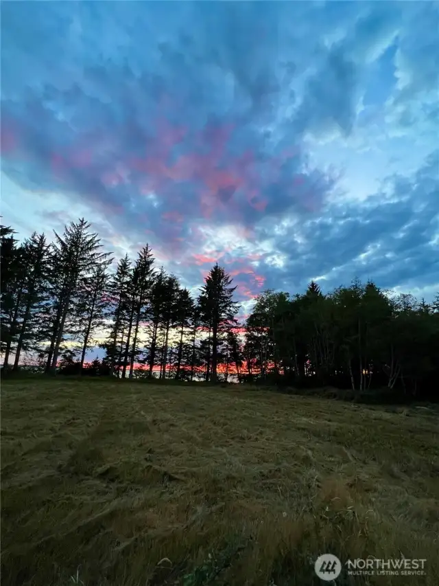 West view from East side of property
