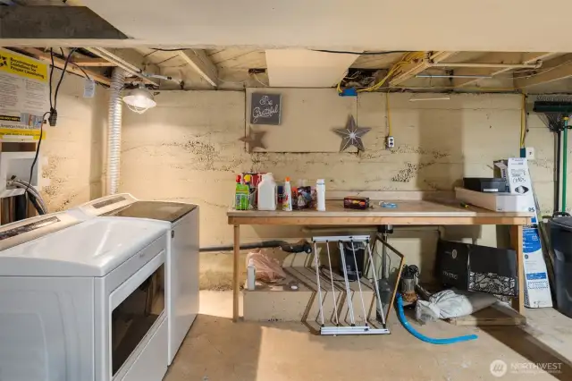 Basement Storage