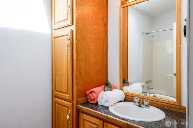 Clever view of the shower configuration.