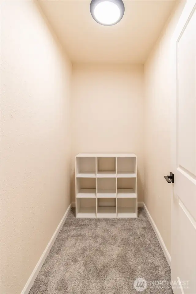 walk in closet.