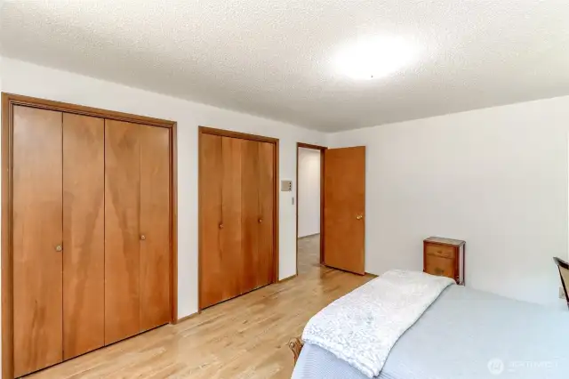 double closets in this large guest bedroom