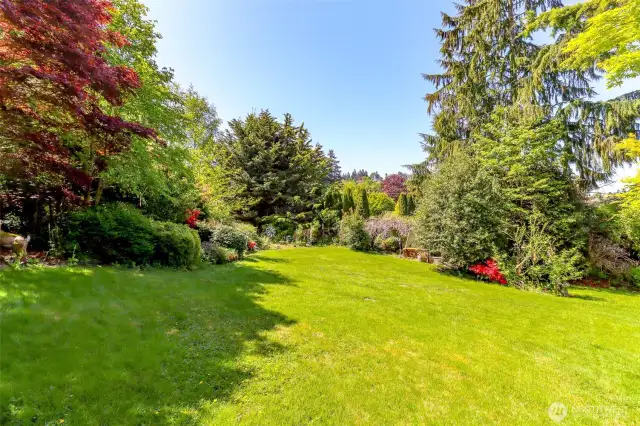 Front yard