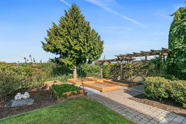 South East facing back yard