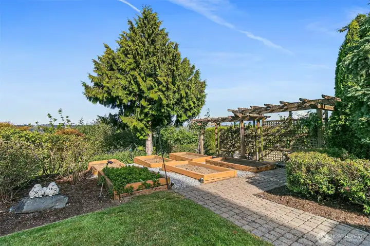South East facing back yard