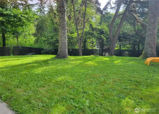 Spacious Backyard