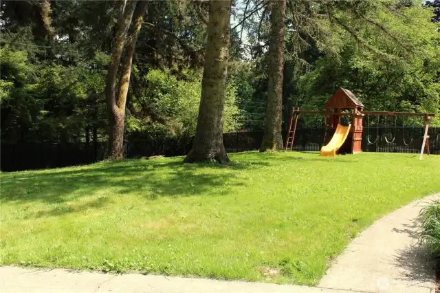 Spacious Front Yard