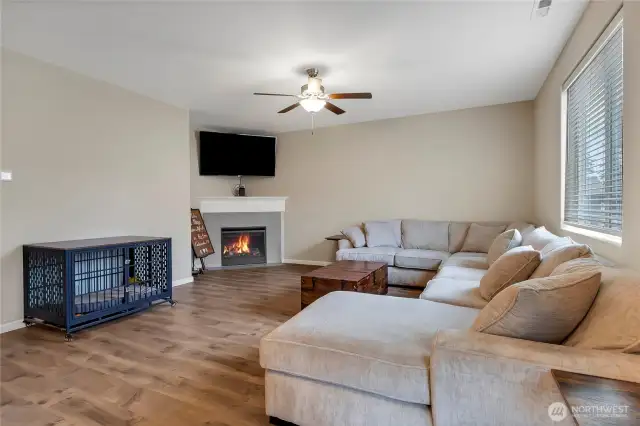 LR with fireplace