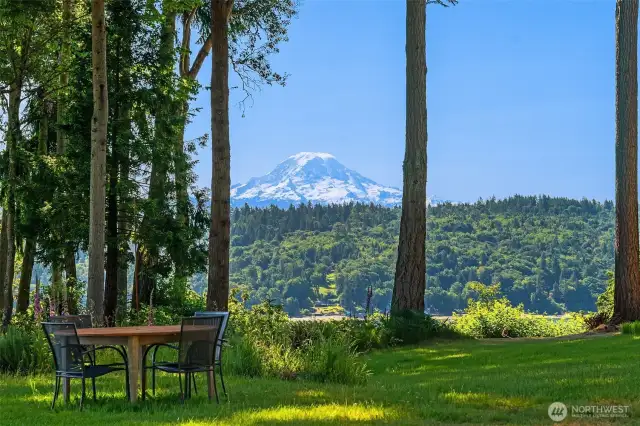 Looking east from the south end of the property.