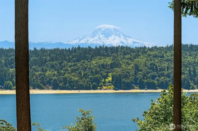 Commanding views of Mt. Rainier.