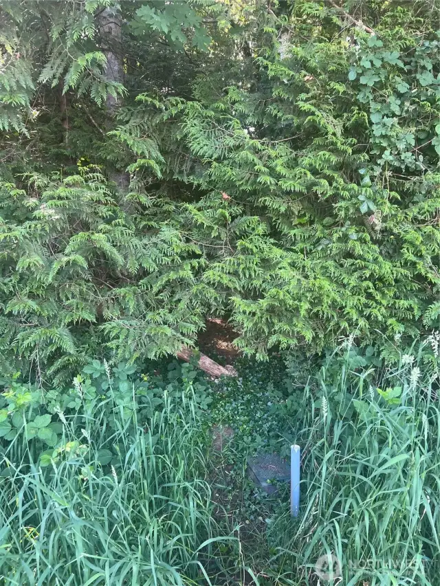 Water Meter