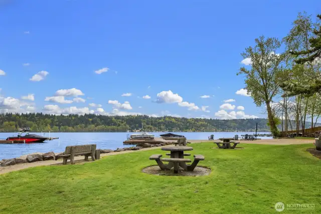 Picnic area on the lake