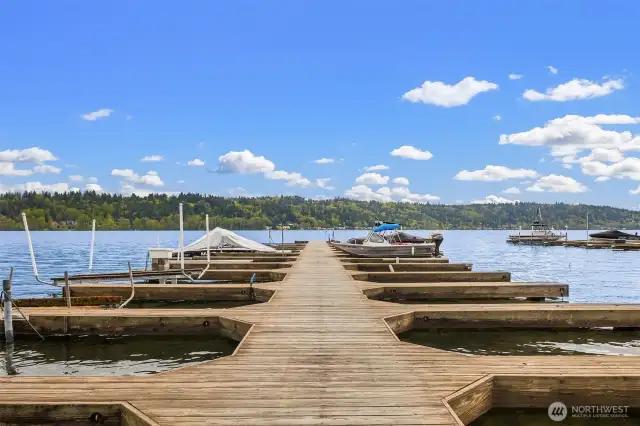 Private doc for lounging or embarking on your boat or kayak