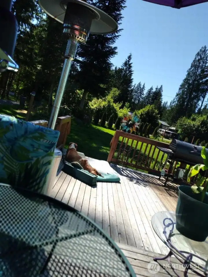 view from deck