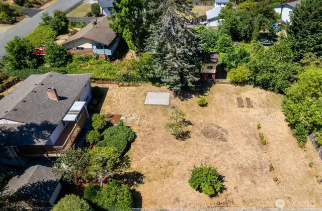 Alternate view of the back yard