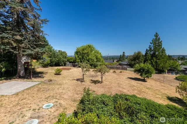 Back yard