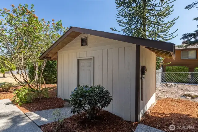 10 x 14 shed