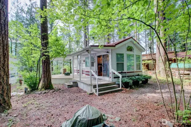 Privacy with mature trees
