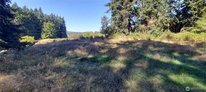 Build your new home here?