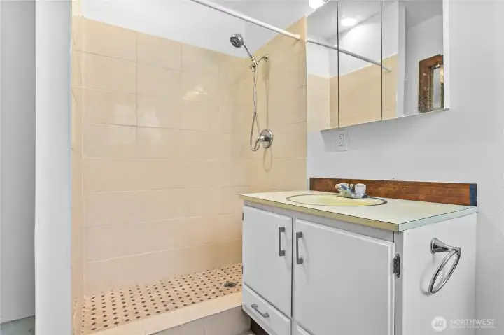 Downstairs primary bath