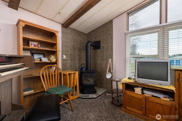 Newer gas fire place makes the living room cozy and warm.  Large windows.