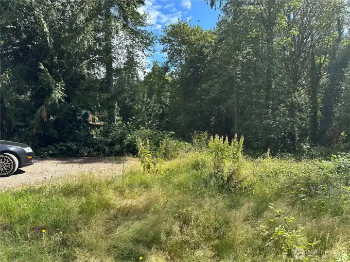 Mostly cleared and ready for your plans. Mostly cleared and ready for your plans.