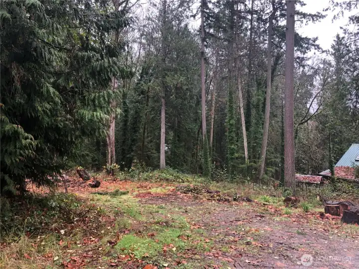 Fall picture looking east from the top.