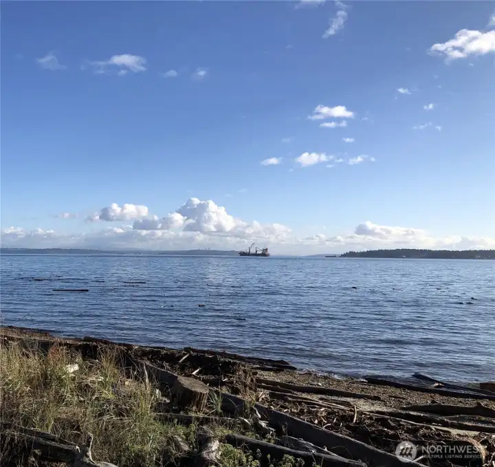 Community beach views toward Mt. Rainier.