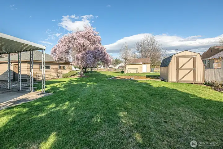 Backyard w/garden space