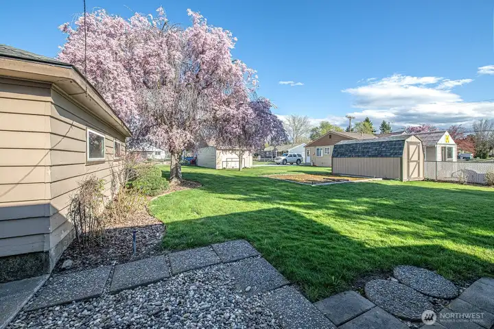 Large side yard