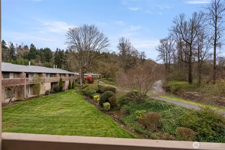 Balcony View