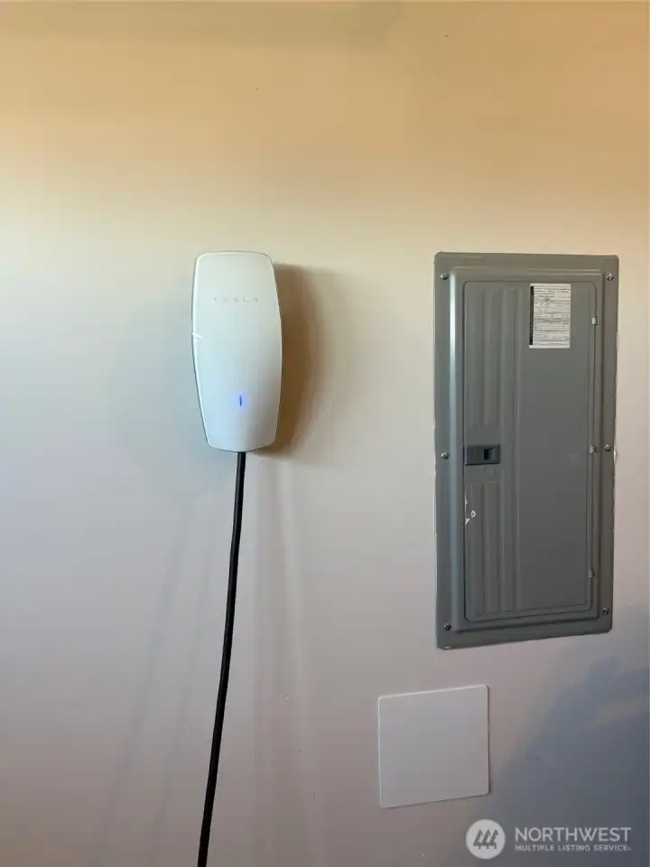 Electric Car Charging