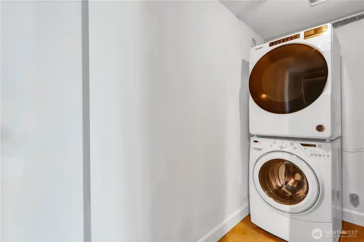 New large capacity dryer in basement laundry room.