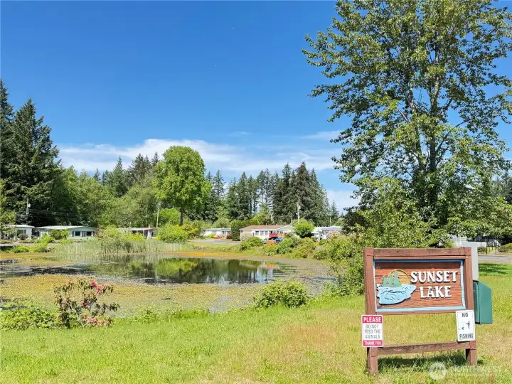 Community lake!